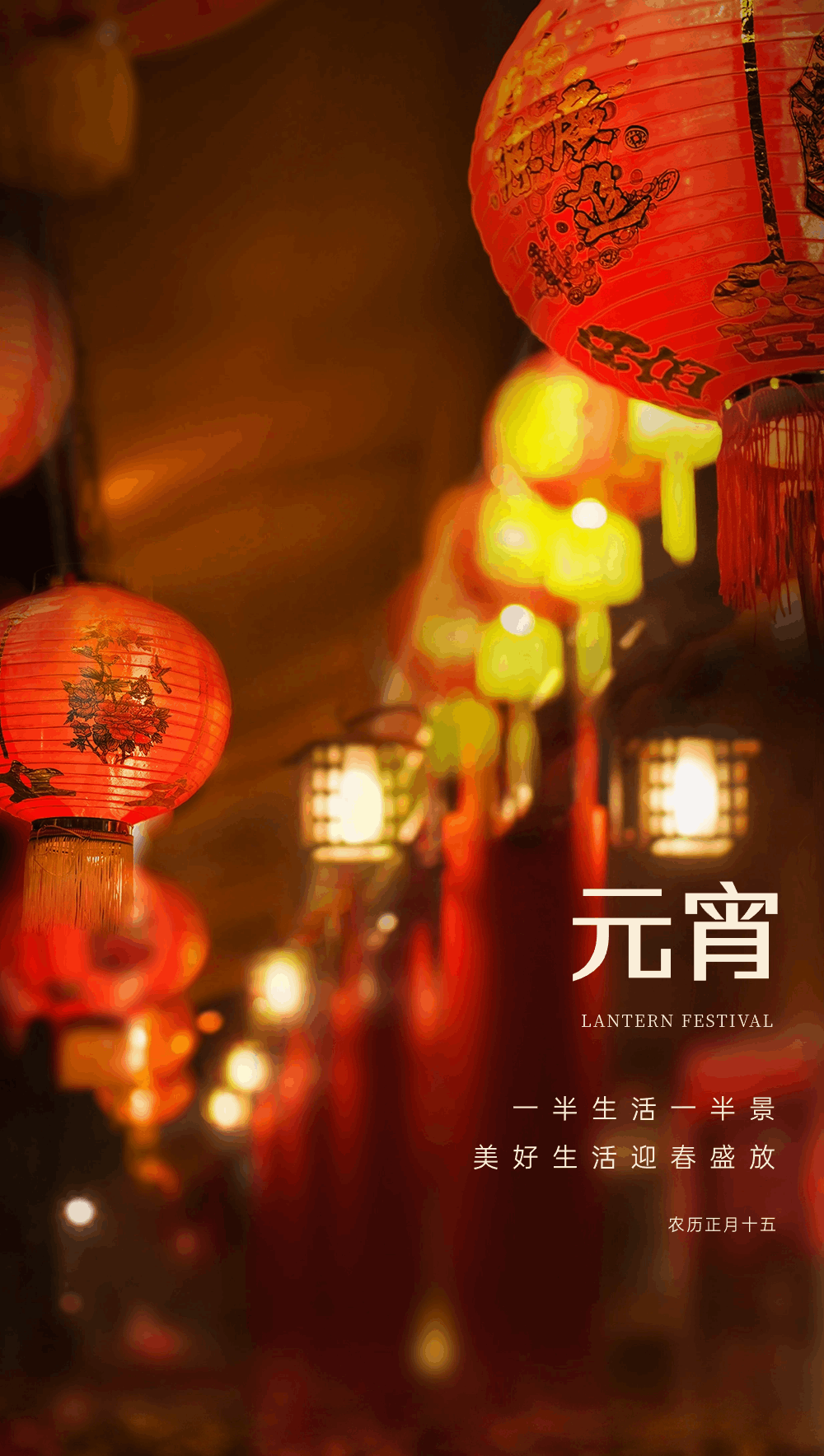 稿定设计-1.gif
